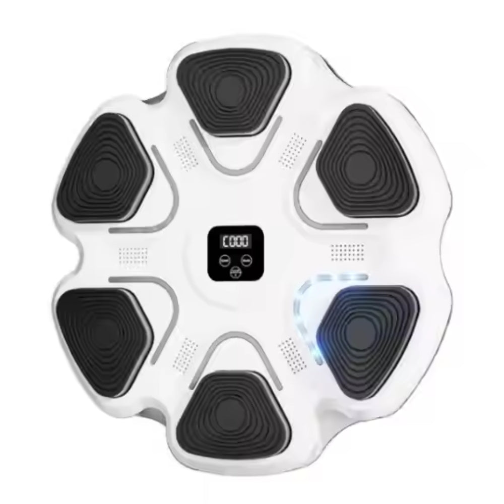 Smart Music Boxing Wall Trainer